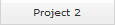 Project 2